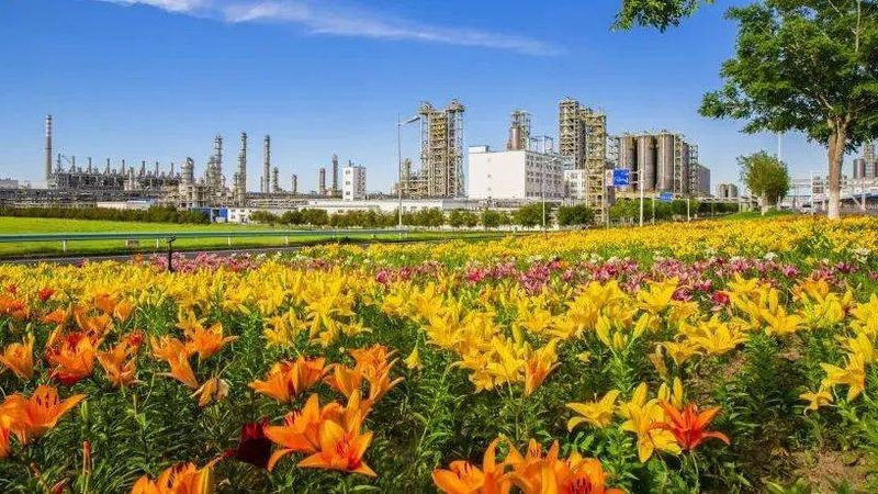 高分子材料厂家对比，性价比高的关键考量