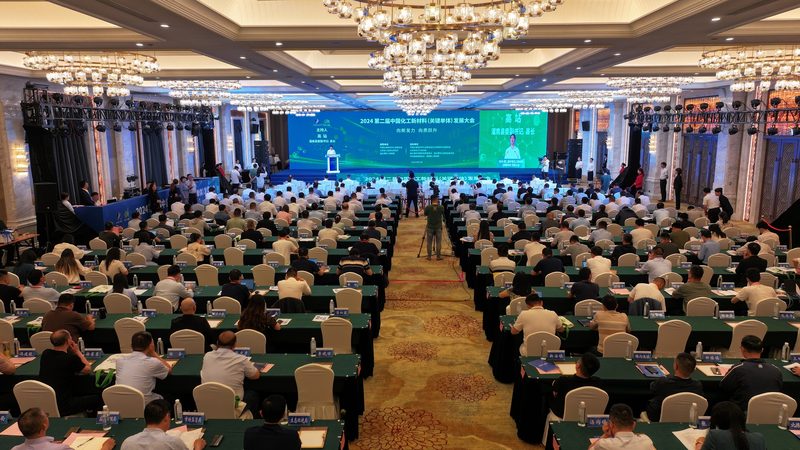 山东有机化工原料行业的现状与挑战